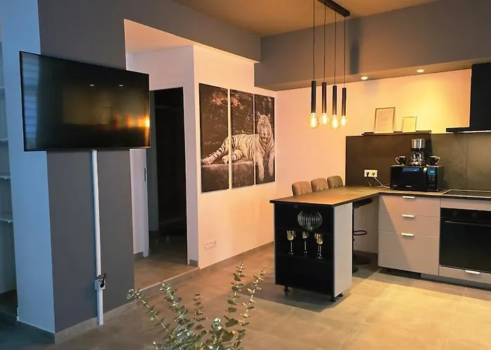 Appartement Le 600 - Outremeuse Liège